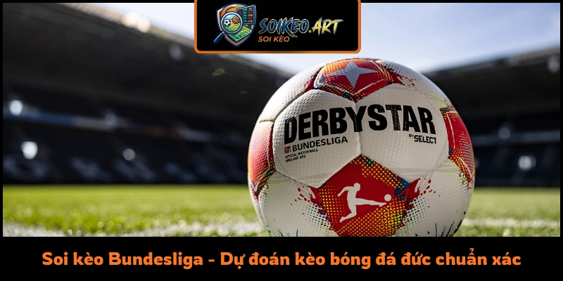 Soi kèo Bundesliga